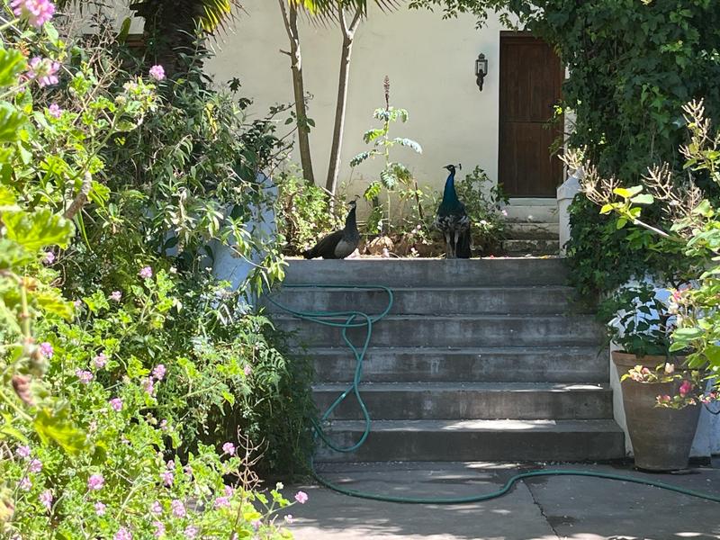 8 Bedroom Property for Sale in Hopefield Western Cape